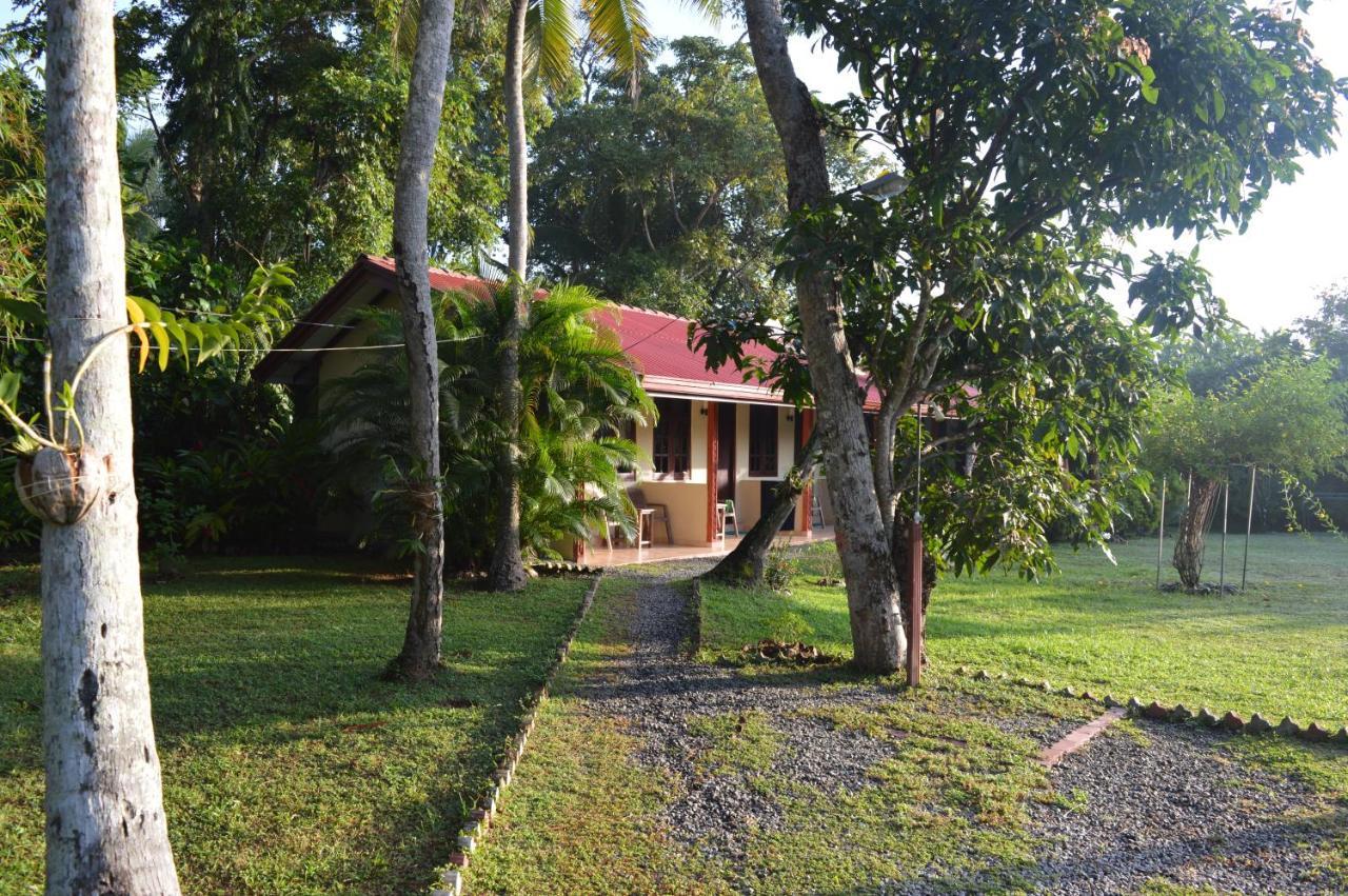Zum Deutschen Bed and Breakfast Bentota Exteriör bild