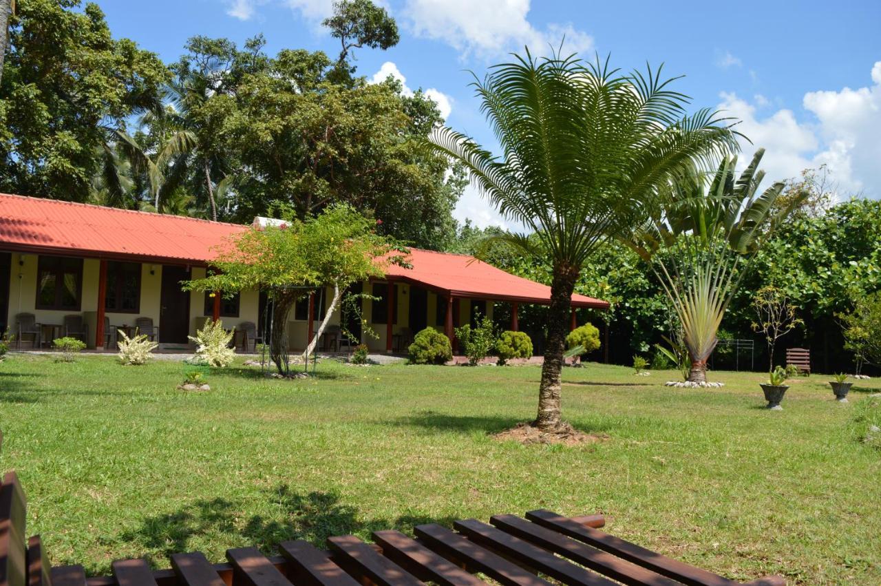 Zum Deutschen Bed and Breakfast Bentota Exteriör bild