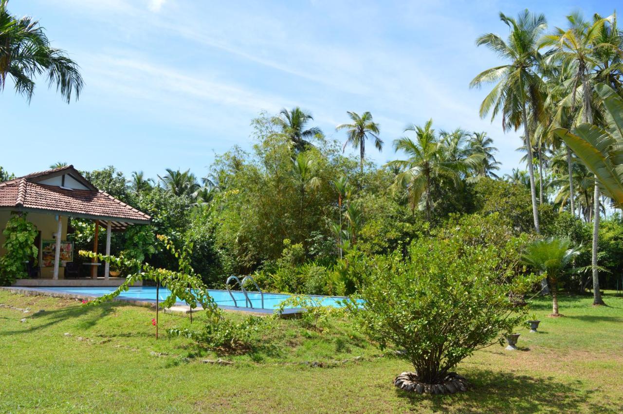 Zum Deutschen Bed and Breakfast Bentota Exteriör bild