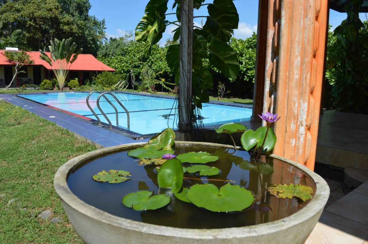 Zum Deutschen Bed and Breakfast Bentota Exteriör bild